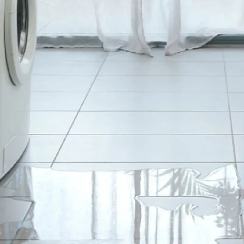 Appliance Leak Cleanup in Rocky Top, TN