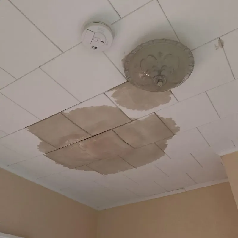Ceiling Water Damage Repair in Rocky Top, TN