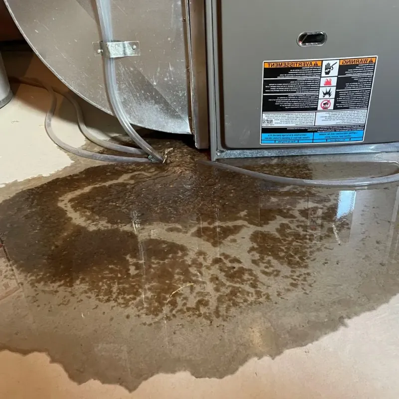 Pipe Burst and Leak Restoration in Rocky Top, TN