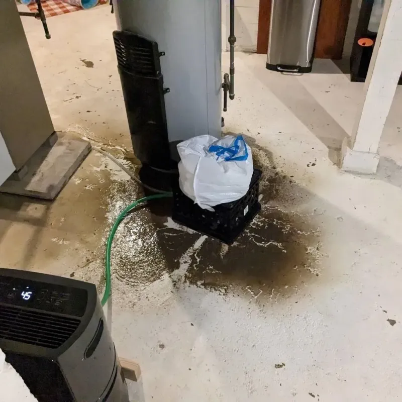 Sewage Backup Cleanup Service in Rocky Top, TN